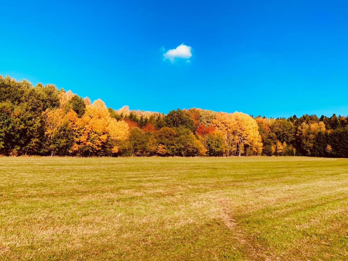 Bayerischer Wald - Balbersdorf Waffenbrunn Ngoại thất bức ảnh